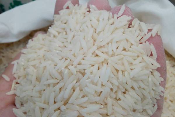 https://shp.aradbranding.com/قیمت خرید برنج هاشمی گیلان عمده به صرفه و ارزان